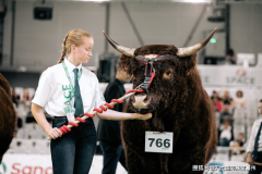 SPACE的焦点劣势正在于其欧洲腹