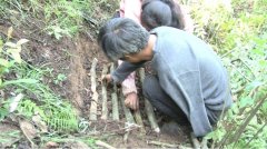 绕“财产连体”“股权连心”